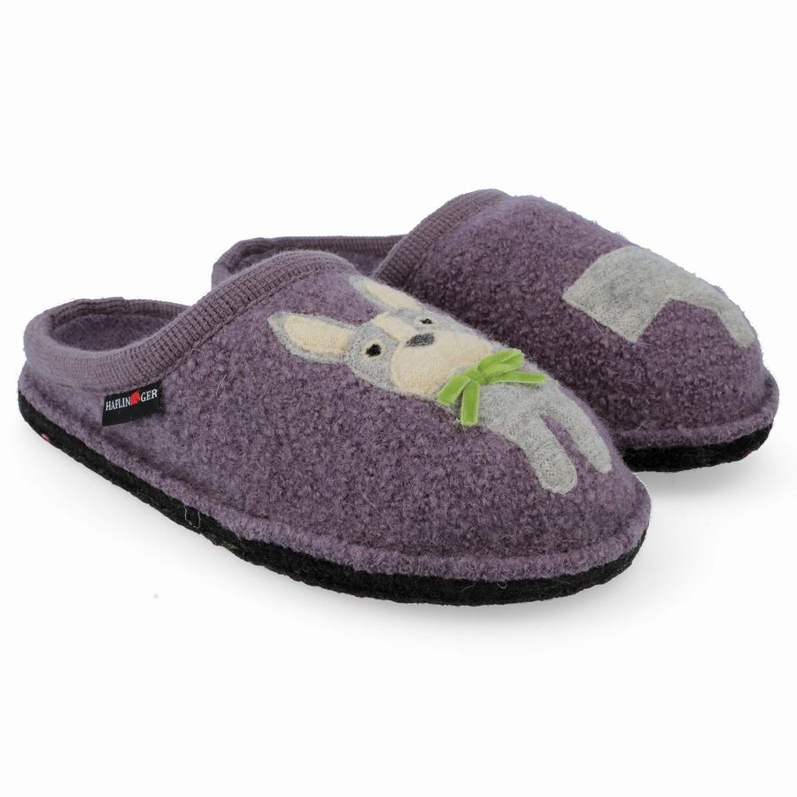 Haflinger Puppy Novelty Tøfler Dame Lilla | ROP8982ZI